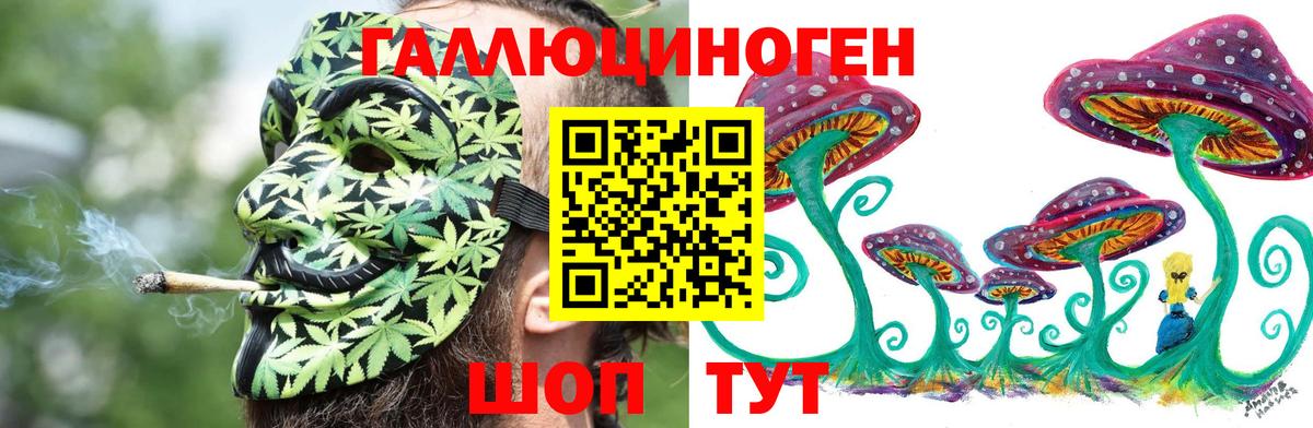 купить наркоту  Псилоцибиновые грибы прущие грибы  Вход с VPN  Десногорск 